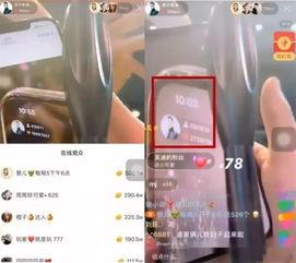 仙家直播爆料视频大全,揭秘神秘仙家世界  第1张